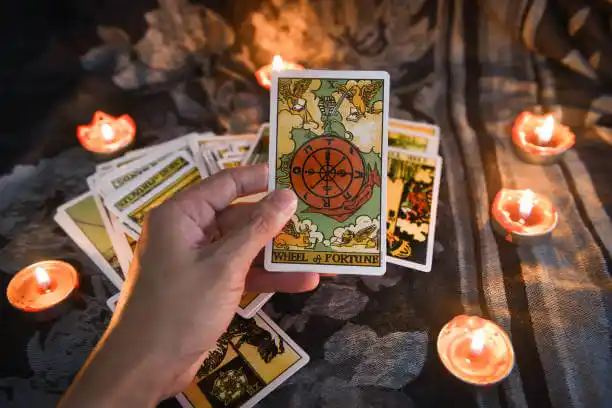 tarot cards Willmar